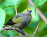 DSC_7001-Edit.jpg
