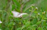 DSC_6522-1.jpg