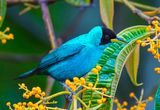 DSC_6671-3.jpg