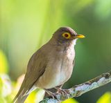 DSC_8861-3.jpg