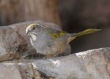 _DSC7168-Edit.jpg