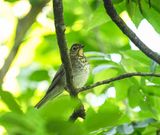 _DSC0804-Edit.jpg