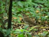 _DSC1008-Edit.jpg