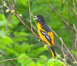 _DSC0215-Edit-2.jpg