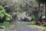 Hurricane Irma - 016.JPG
