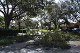 Hurricane Irma - 024.JPG