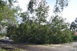 Hurricane Irma - 031.JPG