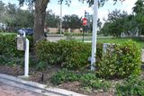 Hurricane Irma - 059.JPG