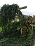 Hurricane Irma - 074.JPG