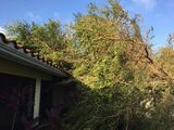 Hurricane Irma - 086.JPG