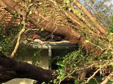 Hurricane Irma - 088.JPG