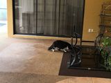 Hurricane Irma - 094.JPG