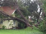 Hurricane Irma - 103.JPG