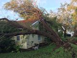 Hurricane Irma - 122.JPG