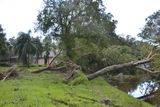 Hurricane Irma - 136.JPG