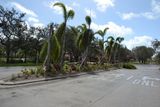Hurricane Irma - 164.JPG