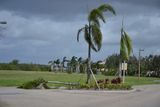 Hurricane Irma - 169.JPG