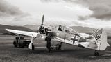 Focke Wulf FW190 A8