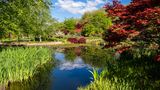 Water at Mayfield Garden