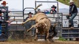 Rider Down