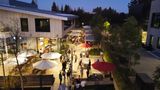 dji_fly_20250814_202650_774_1755228497867_photo_optimized.jpg