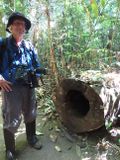 Peter next to a huge log