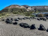 IMG_9827.jpeg