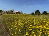 agrigento 7962.jpeg