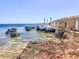IMG_8998.jpeg