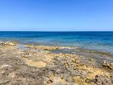 IMG_8999.jpeg