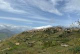 IMG_7131.jpeg