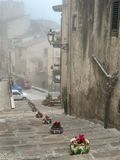 IMG_7055.jpeg