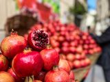 IMG_7472.jpeg