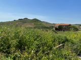IMG_7901.jpeg