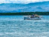 IMG_9600.jpeg