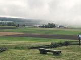 fog over prairie