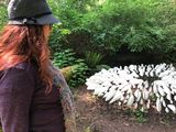 Price Sculpture Garden