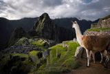 Sunset With Llama