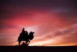 Mongolia_6731-Enhanced-NR.jpg
