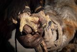 Mongolia_5490.jpg