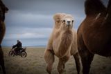 Mongolia_6104.jpg