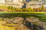 Reflection
