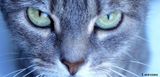 Caty.jpg