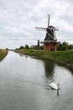 Zwaan@Ganzedijk