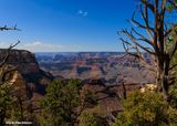 _R6_5318.jpg
