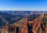 _R6_6183.jpg