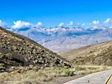 IMG_3993.jpg