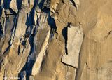 _R7_4577.jpg