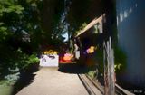 Impressions of The Raspberry Festival
