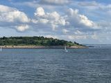 IMG_4929.jpg